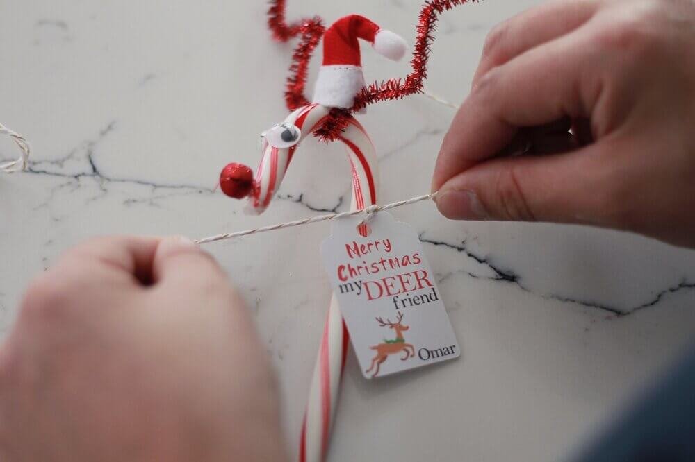 Easy Reindeer Candy Canes Favors 13.jpeg