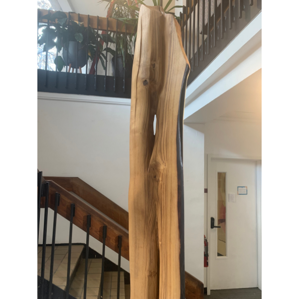 Shane Eversfield Graindance Store image 2.png