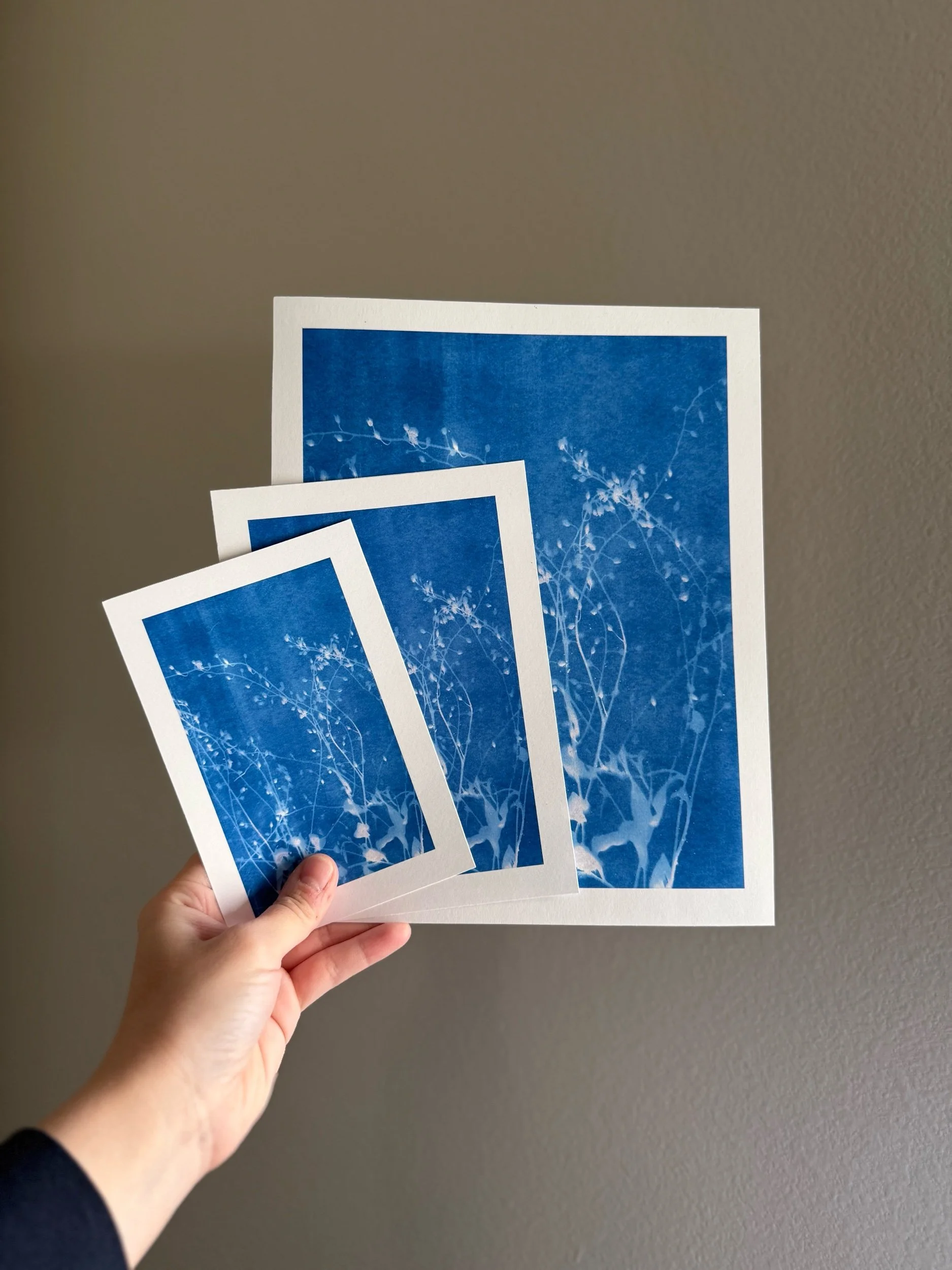 hand holding three blue cyanotype prints of various sizes