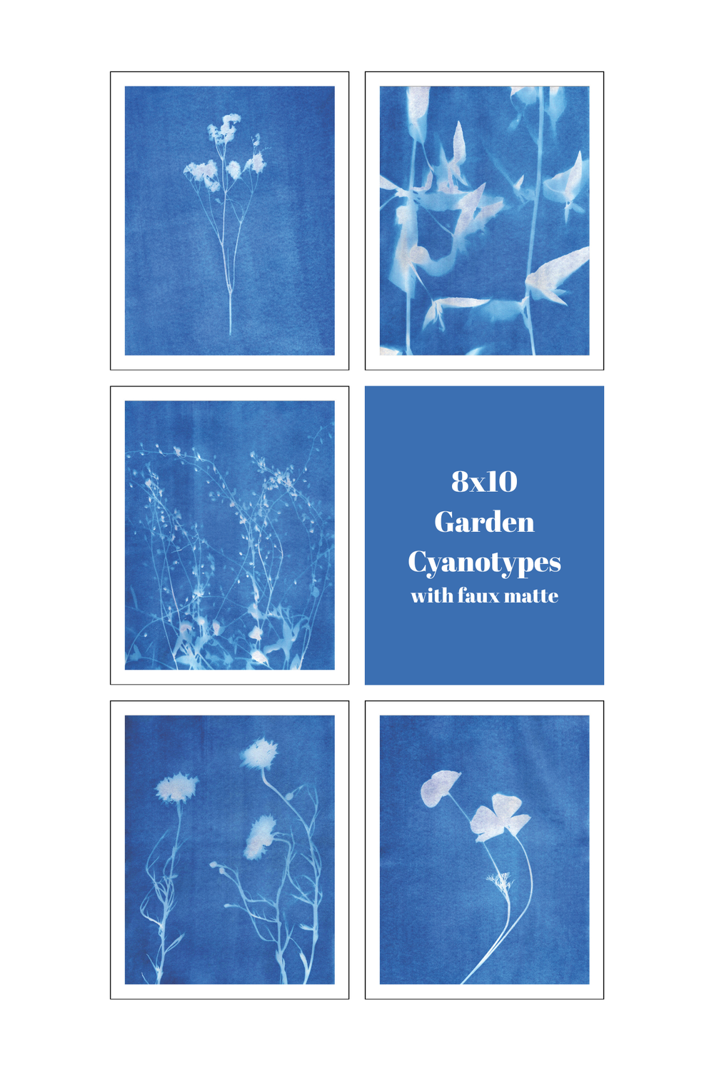Digital Download - Garden Cyanotypes — Melissa Gonzales