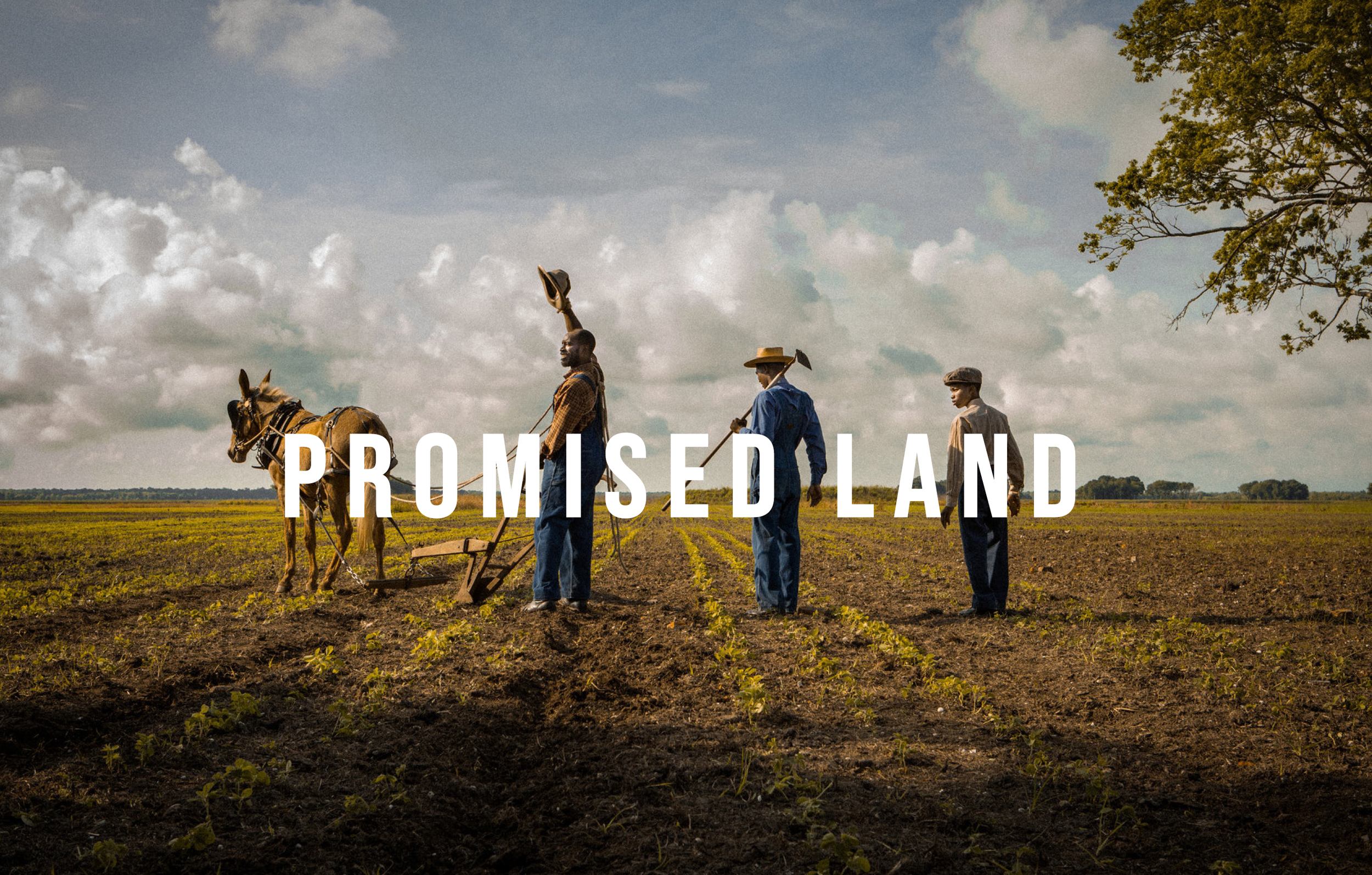 Screen Shot 2024-07-18 at 9.24.57 PM.png