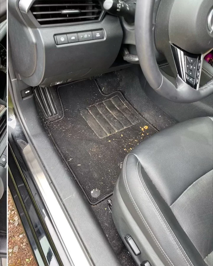 BOLO - Where you can get a splash of suds while you are at home, on the go, and even if the location&rsquo;s remote!

💦🧽🚗

*I do not own rights to the song playing in the background*