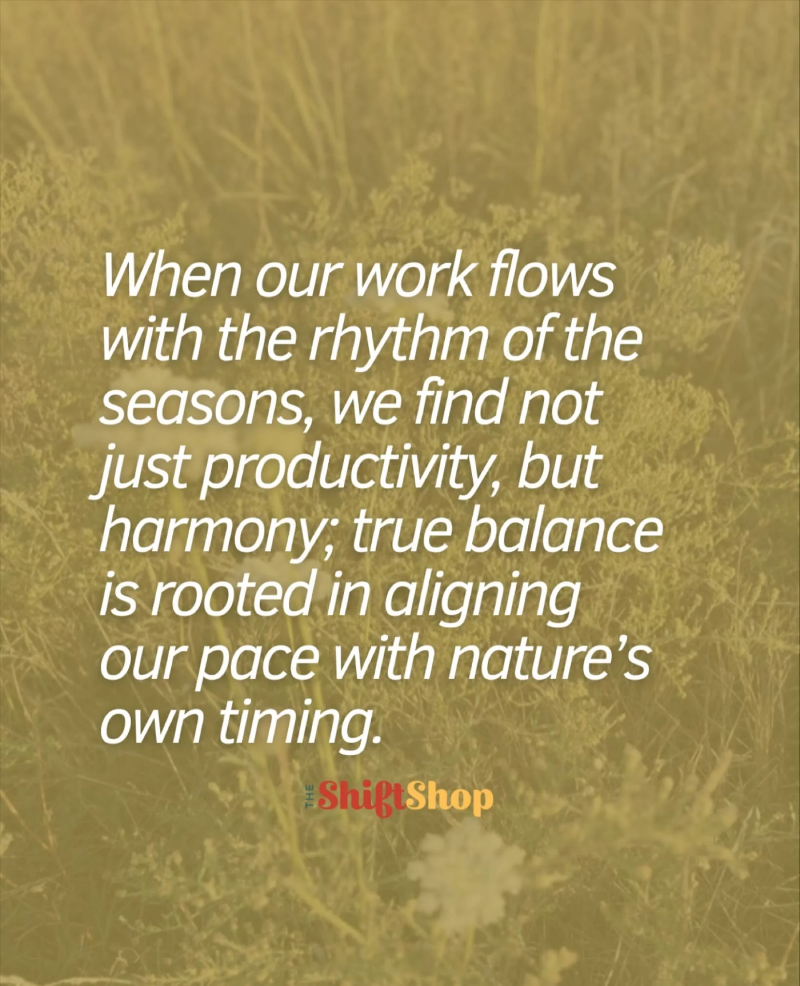 Let your work move with the seasons 🌞🌧️ Work, rest, and thrive in harmony.  Learn how at wwww.theshift.shop ✨ 

&mdash;&mdash;
#SeasonalFlow #BalancedLife #MindfulWork #NatureRhythms #TheShiftShop