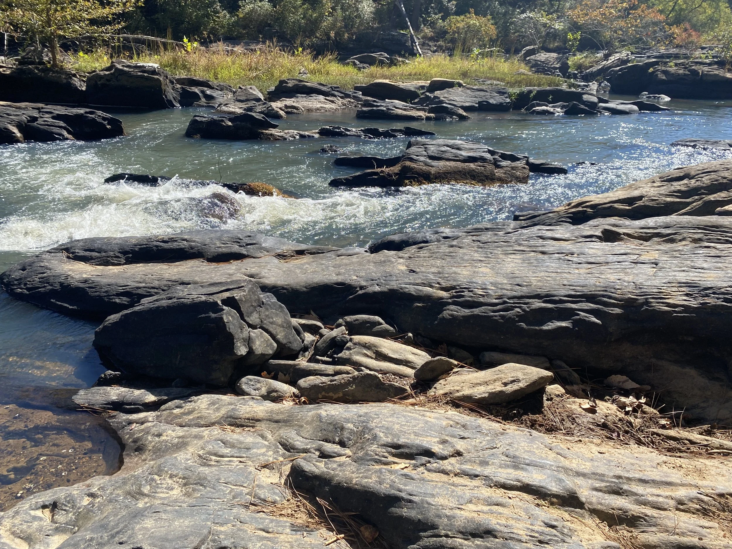 When Women Become the Water: Gendered Adaptive Labor at Home and at Work