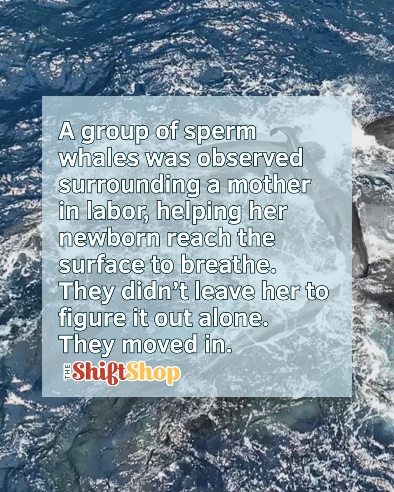 We&rsquo;ve built systems that do the opposite.

Mothers are expected to carry birth and early care in isolation&mdash;and we call that strength. It&rsquo;s not.
Care is not extra. It&rsquo;s survival. If you&rsquo;re rethinking how support actually 