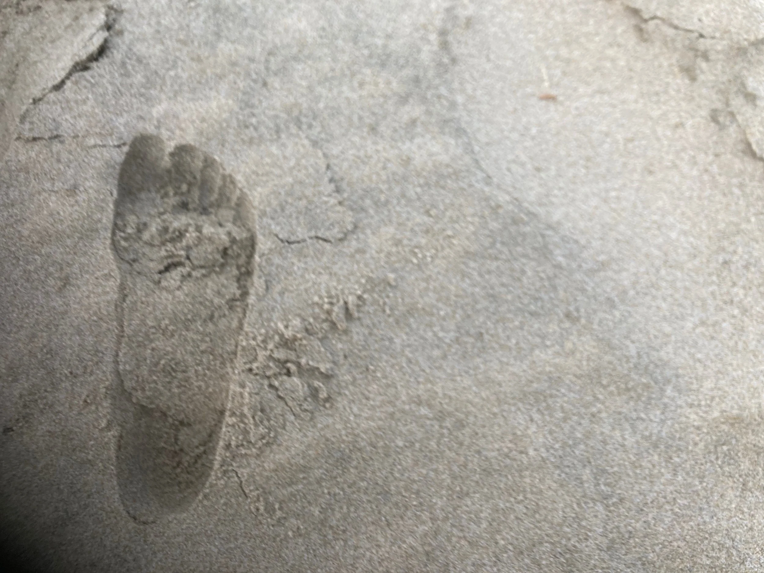 extra special image.jpeg