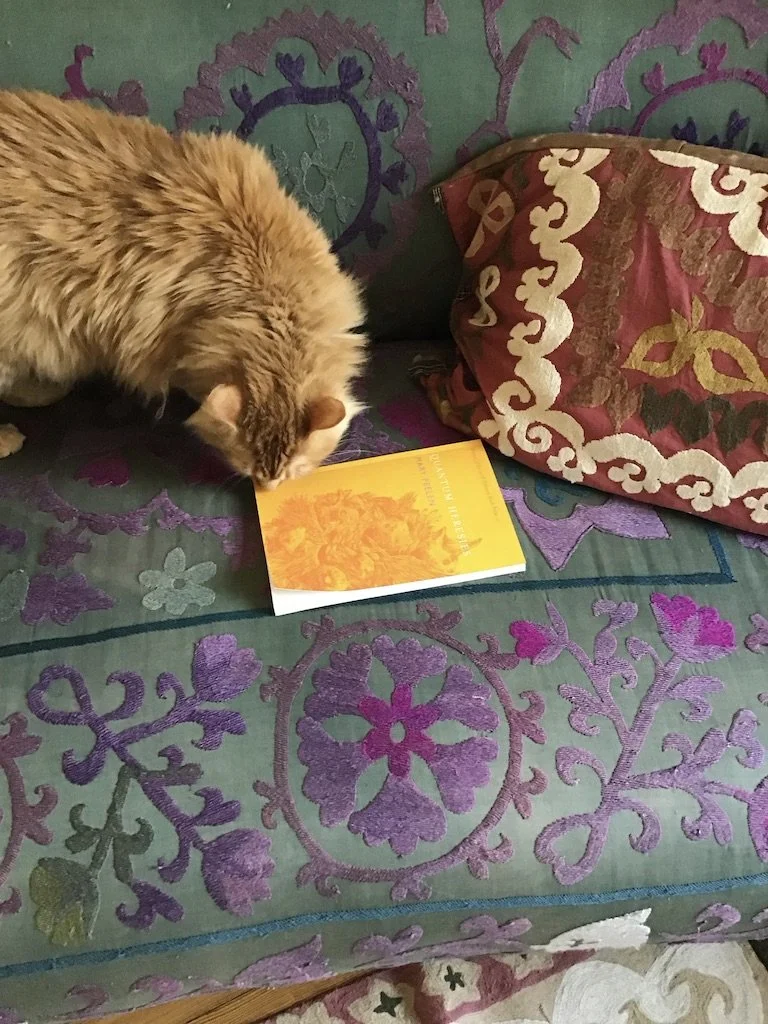 Quantum Heresies by Mary Peelen