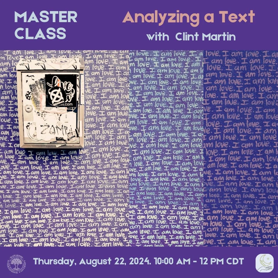 Analyzing a Text Martin.jpg
