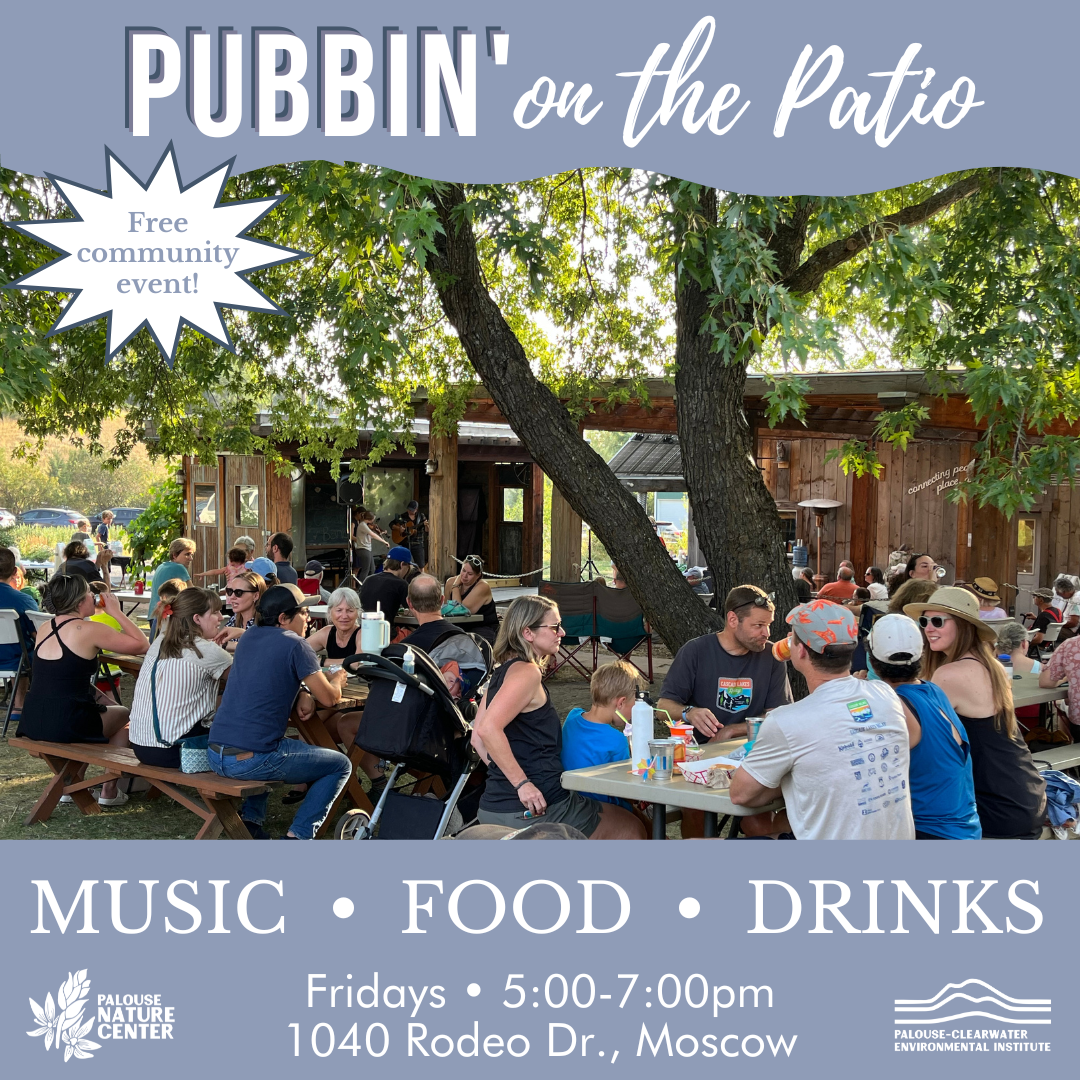 Pubbin' on the Patio featuring the Sultry Swines
