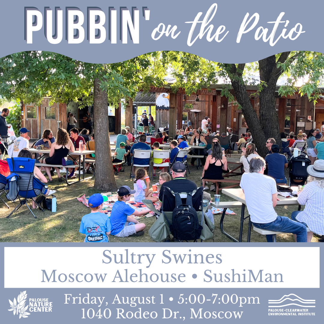 Pubbin' on the Patio featuring the Sultry Swines