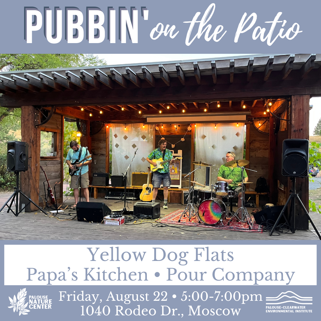Pubbin' on the Patio featuring the Yellow Dog Flats