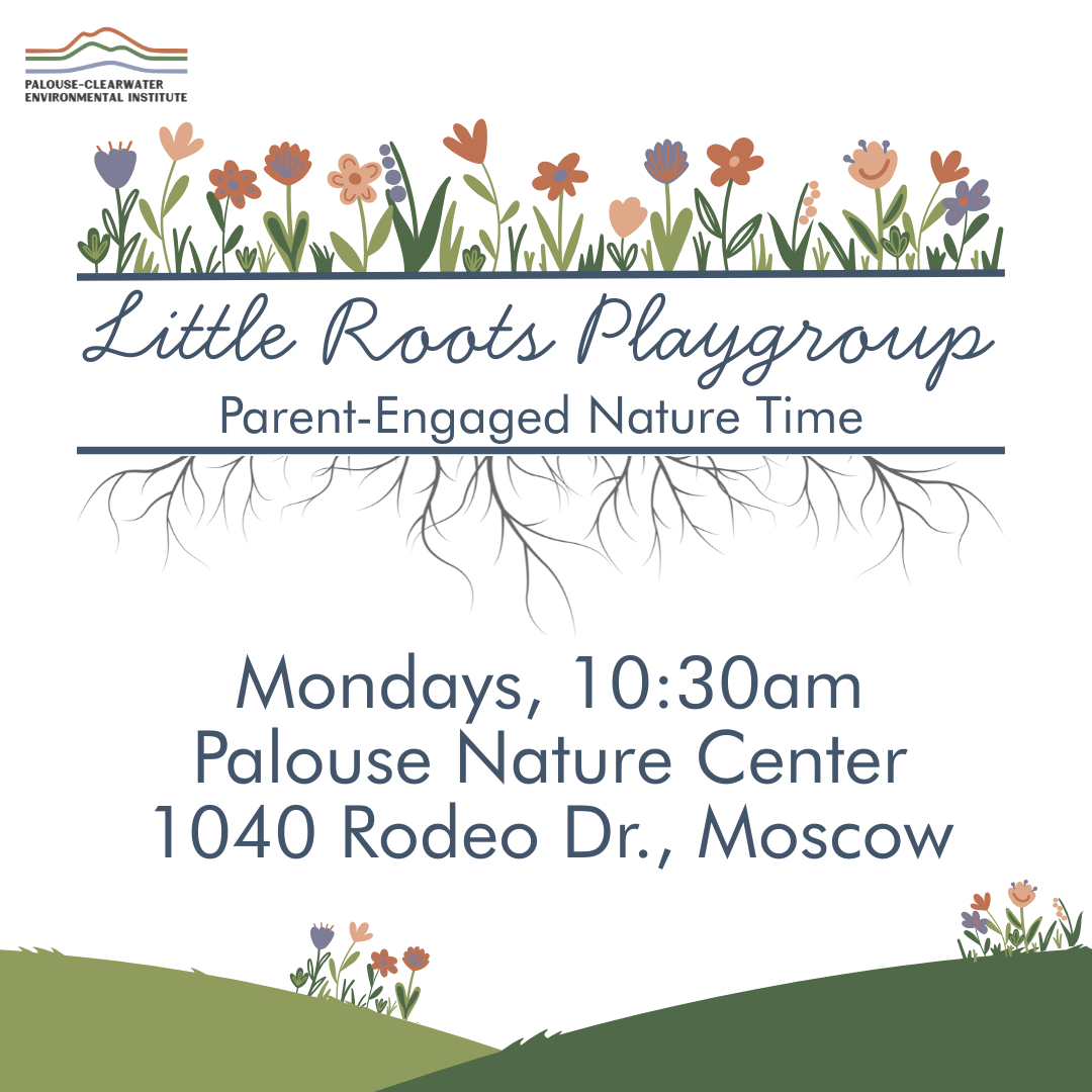 Little Roots Playgroup