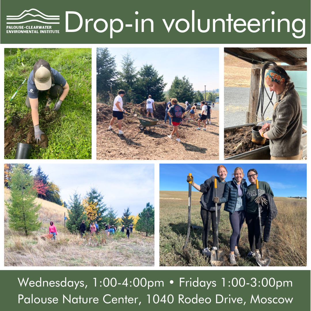 Drop-in Volunteering