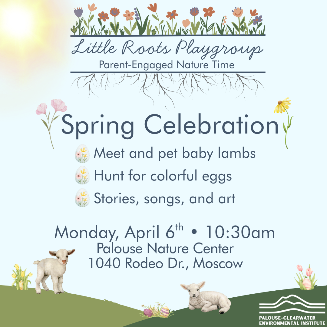 Little Roots Playgroup