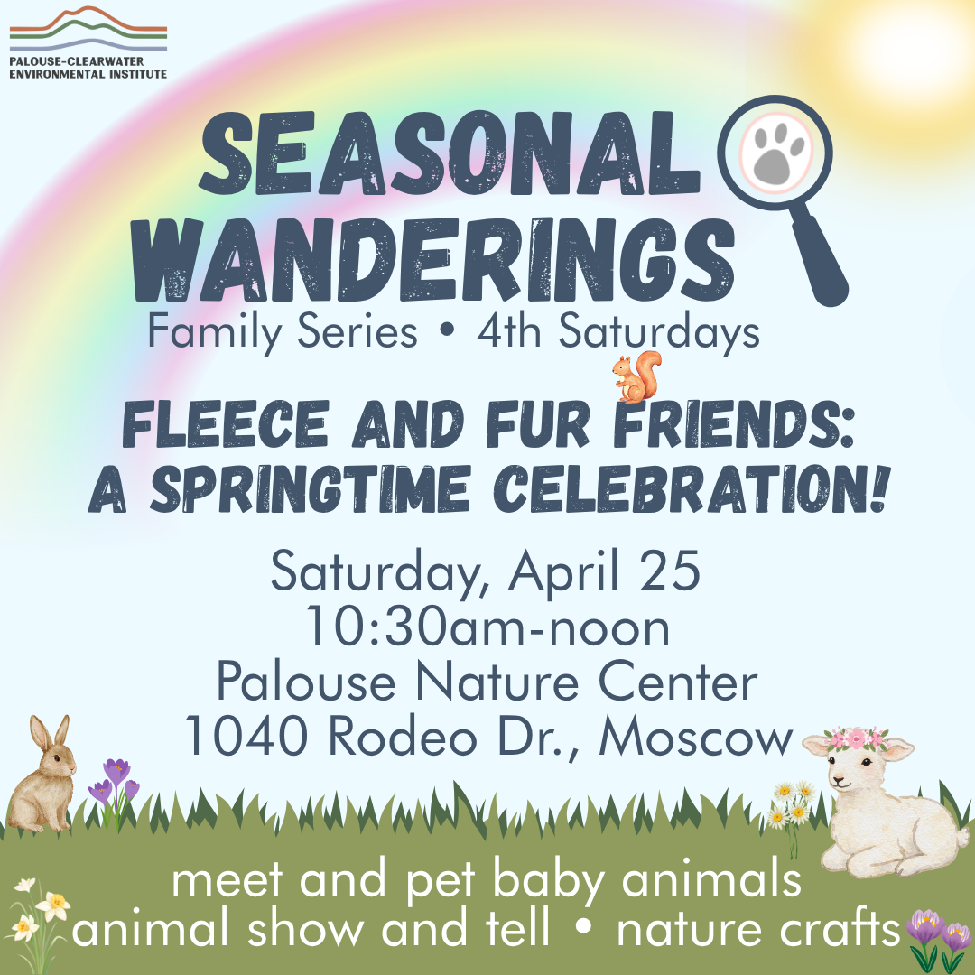 Seasonal Wanderings: Fleece and Fur Friends!