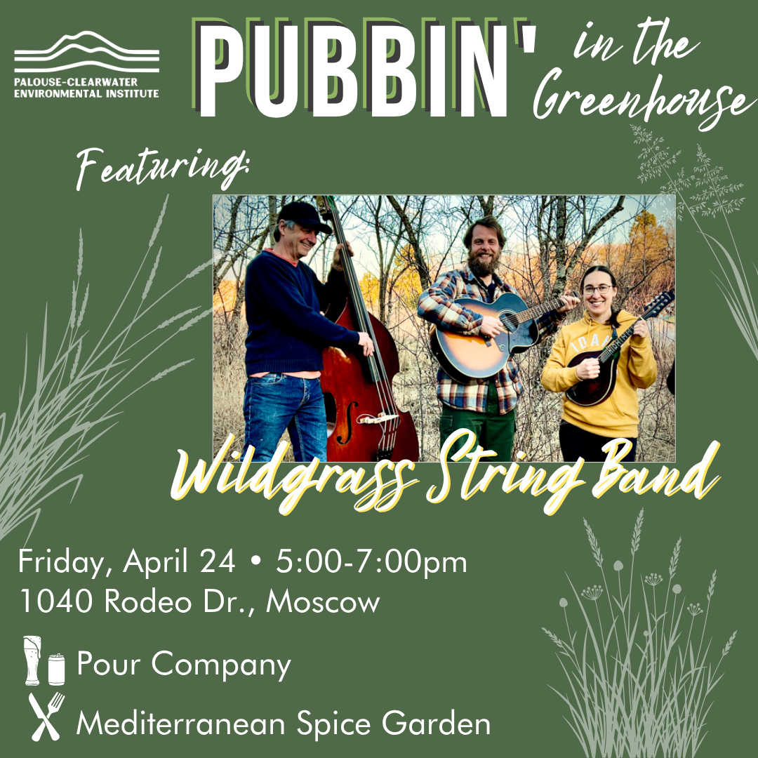 Spring Pubbin' in the Greenhouse featuring Wildgrass String Band