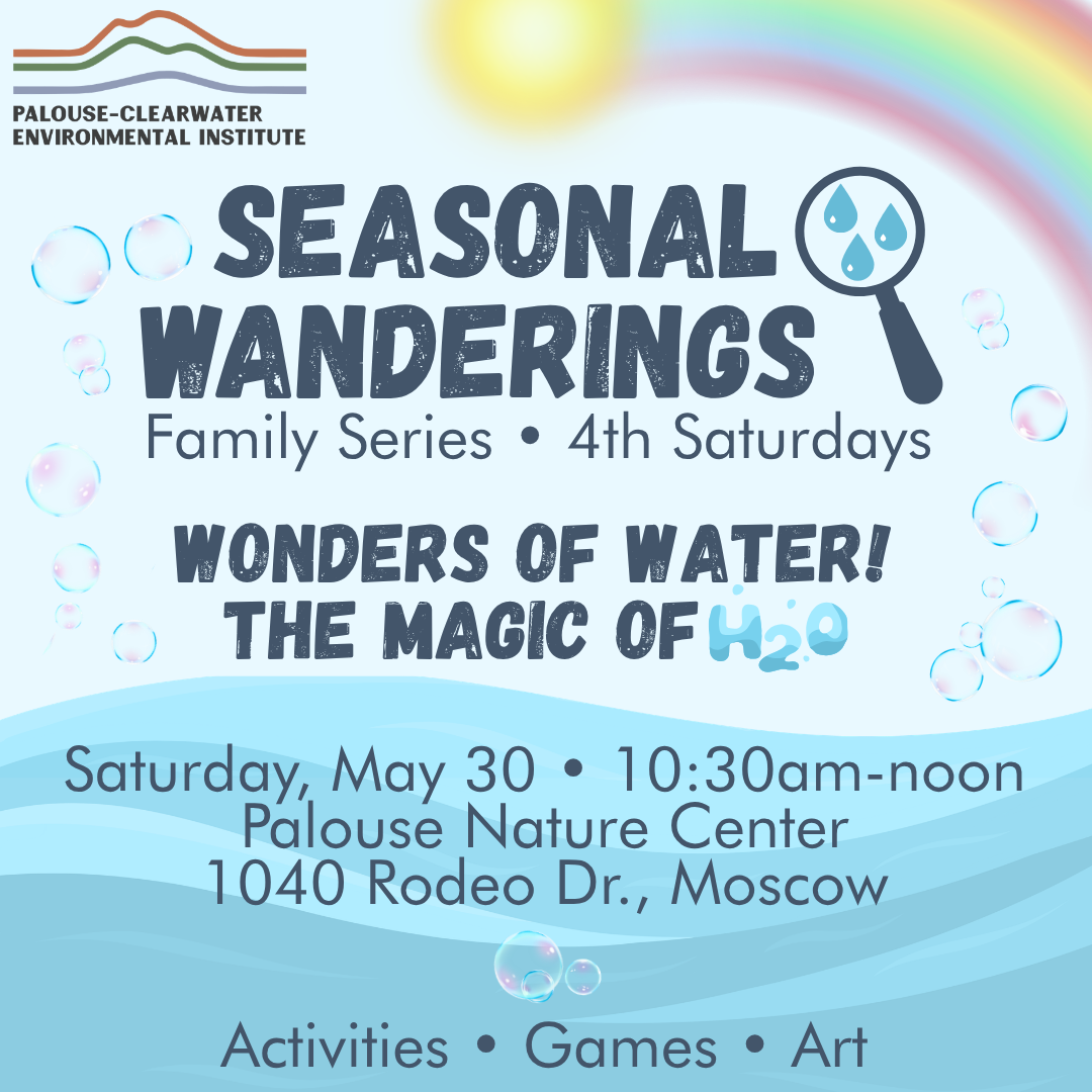 Seasonal Wanderings