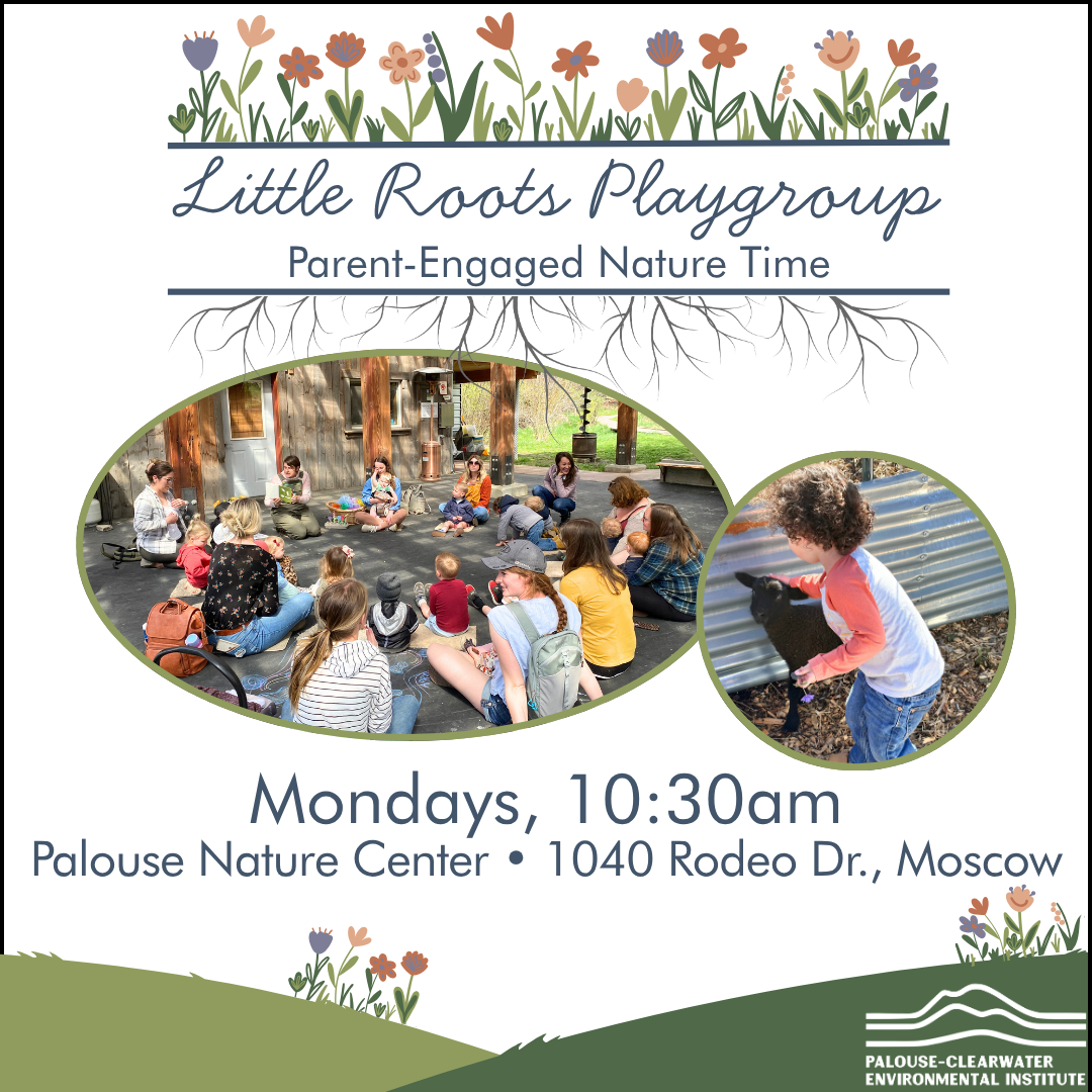 Little Roots Playgroup