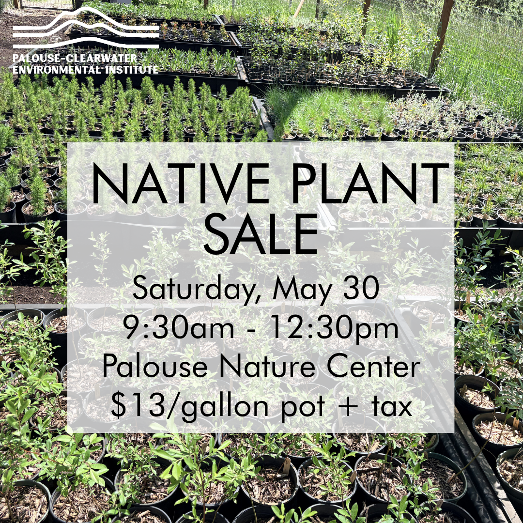 Native Plant Sale