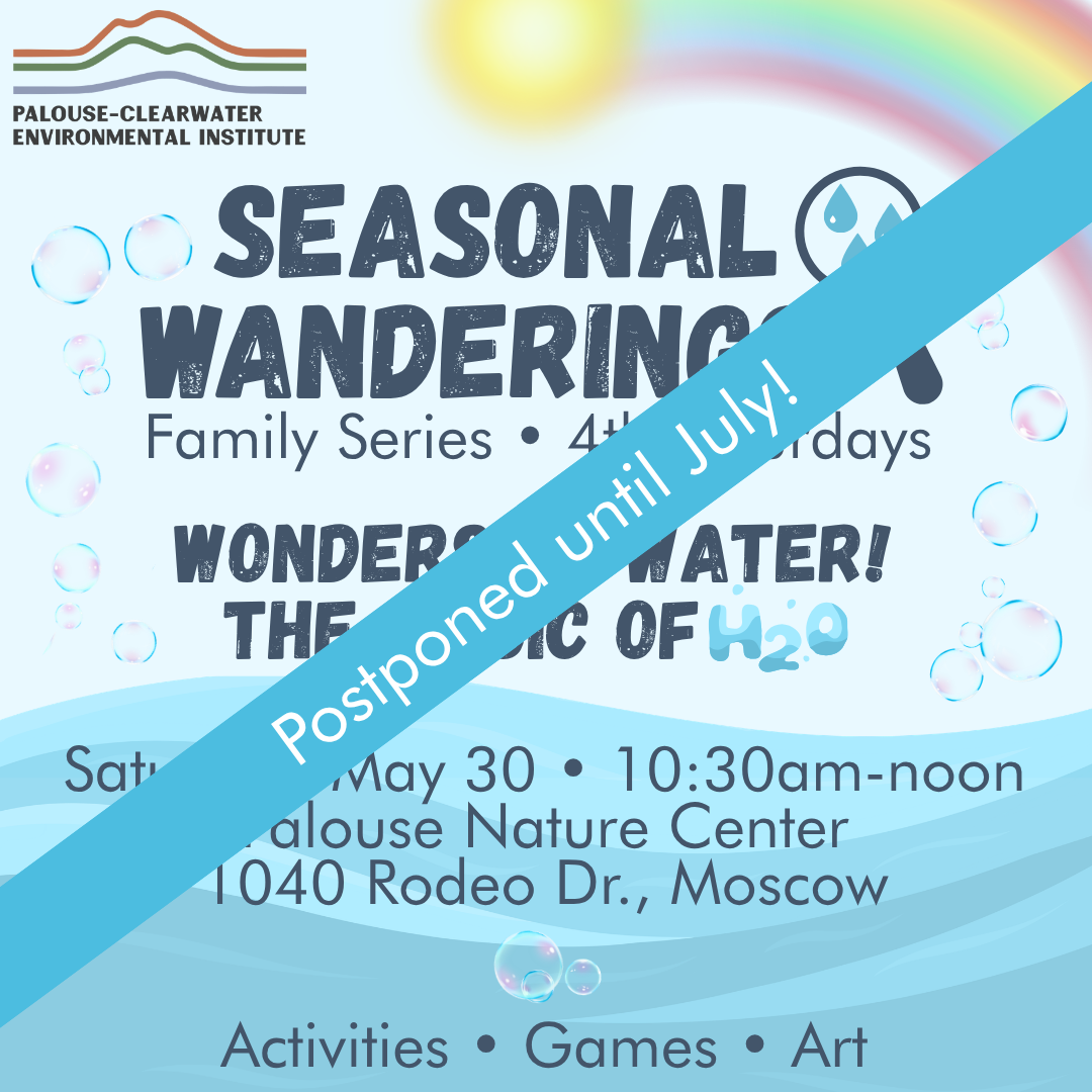 Seasonal Wanderings
