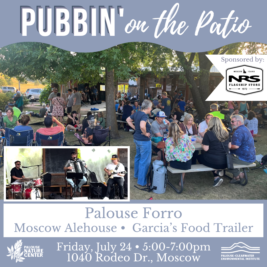 Pubbin' on the Patio