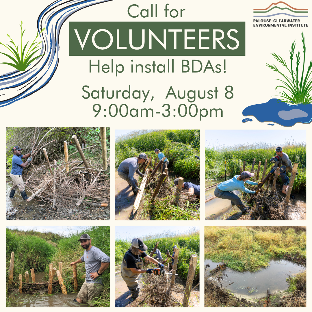 Get Rooted: Help Install BDAs!
