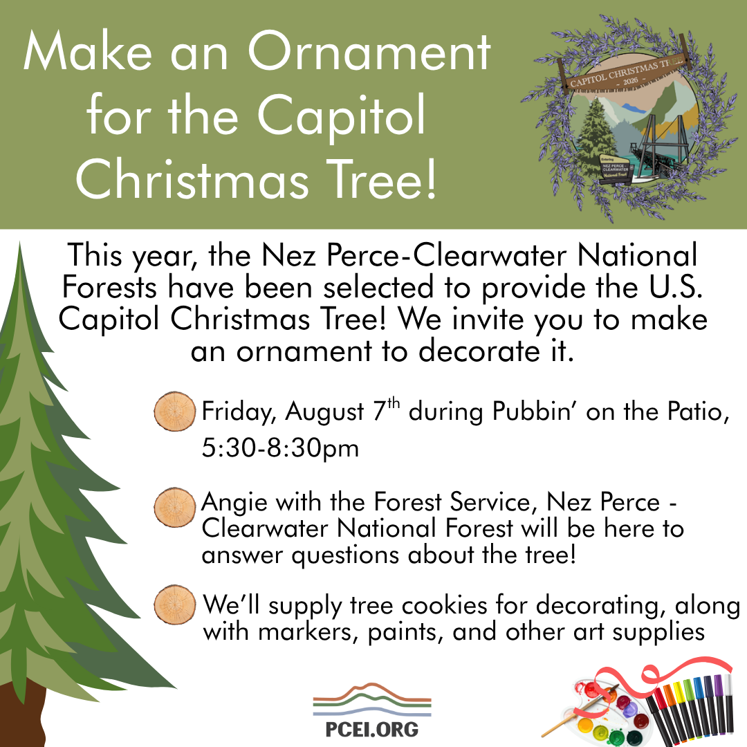 Capitol Tree Ornament Decorating