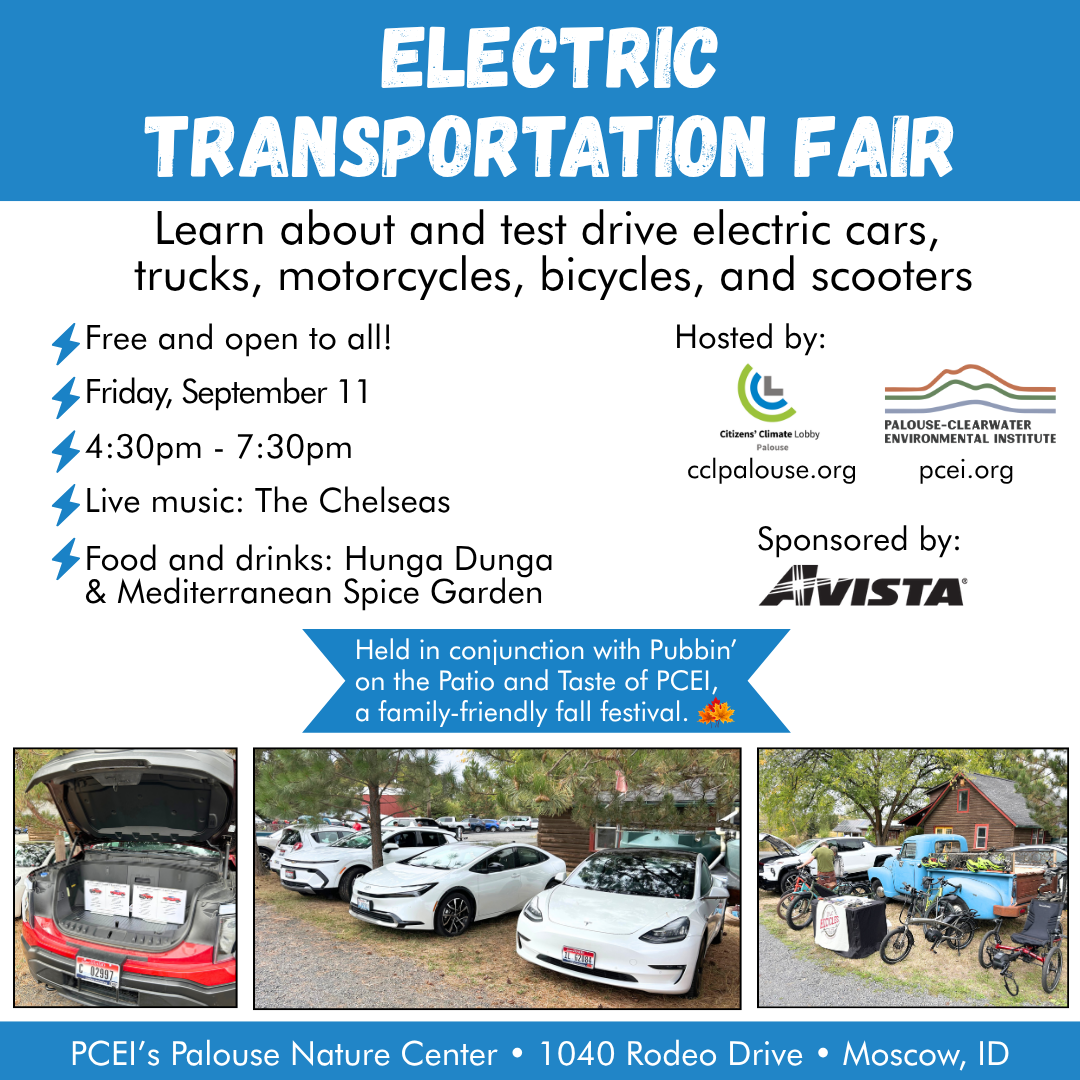 Electric Transportation Fair