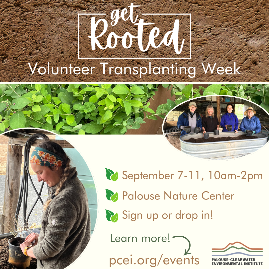Volunteer Transplanting Week