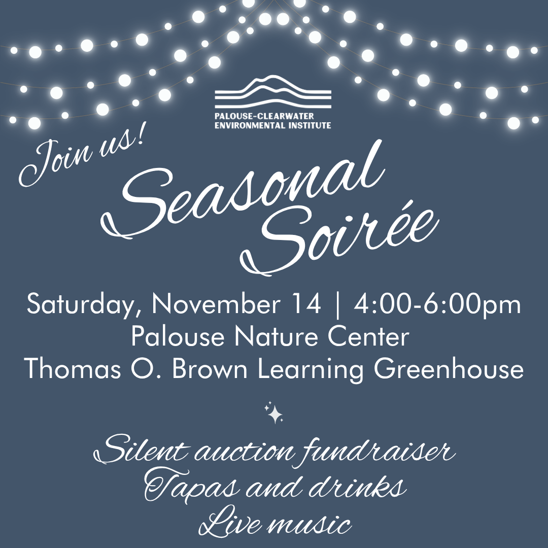 Seasonal Soirée