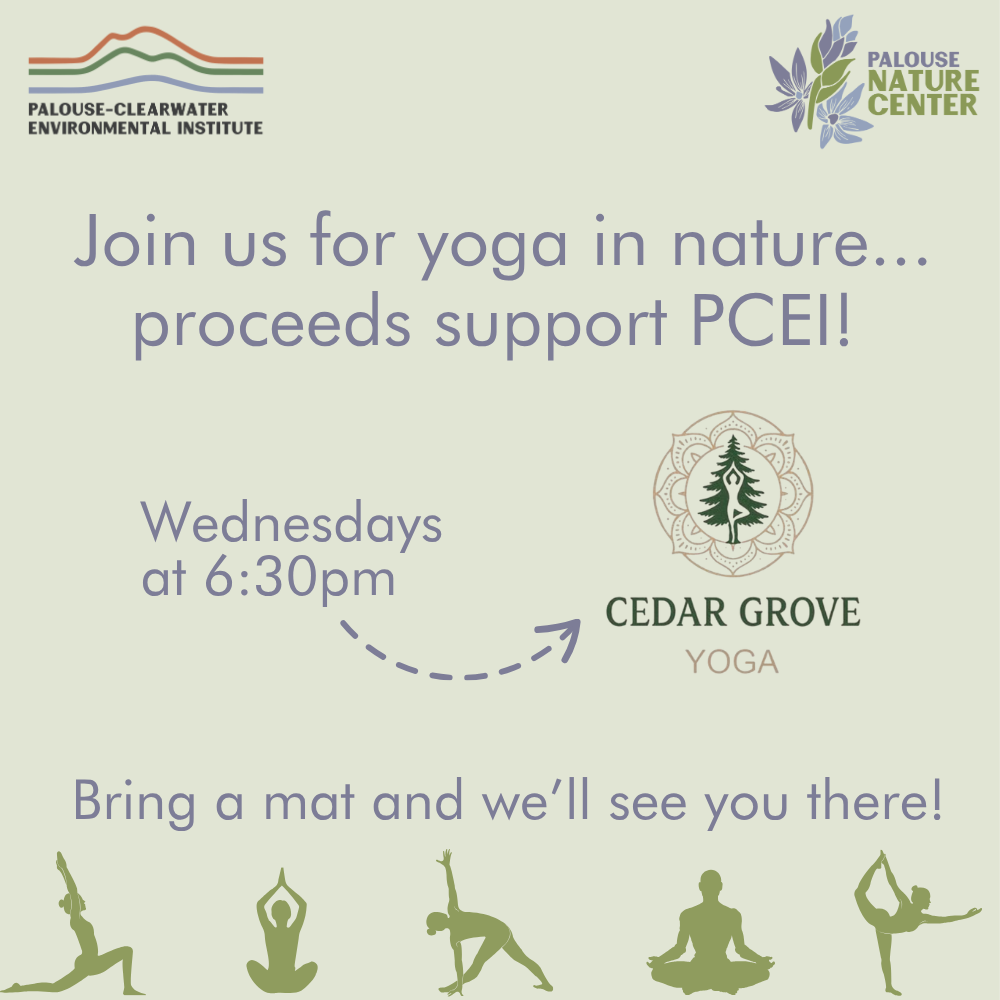 Yoga at the Nature Center