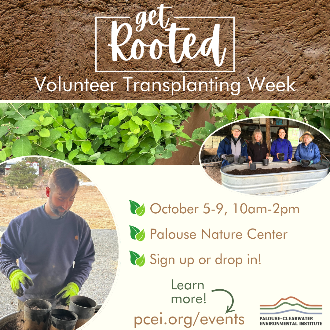 Get Rooted: Transplanting