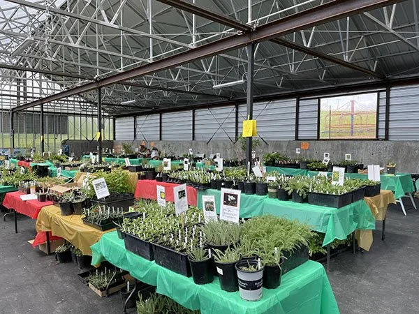 Greenhouse7_.jpg