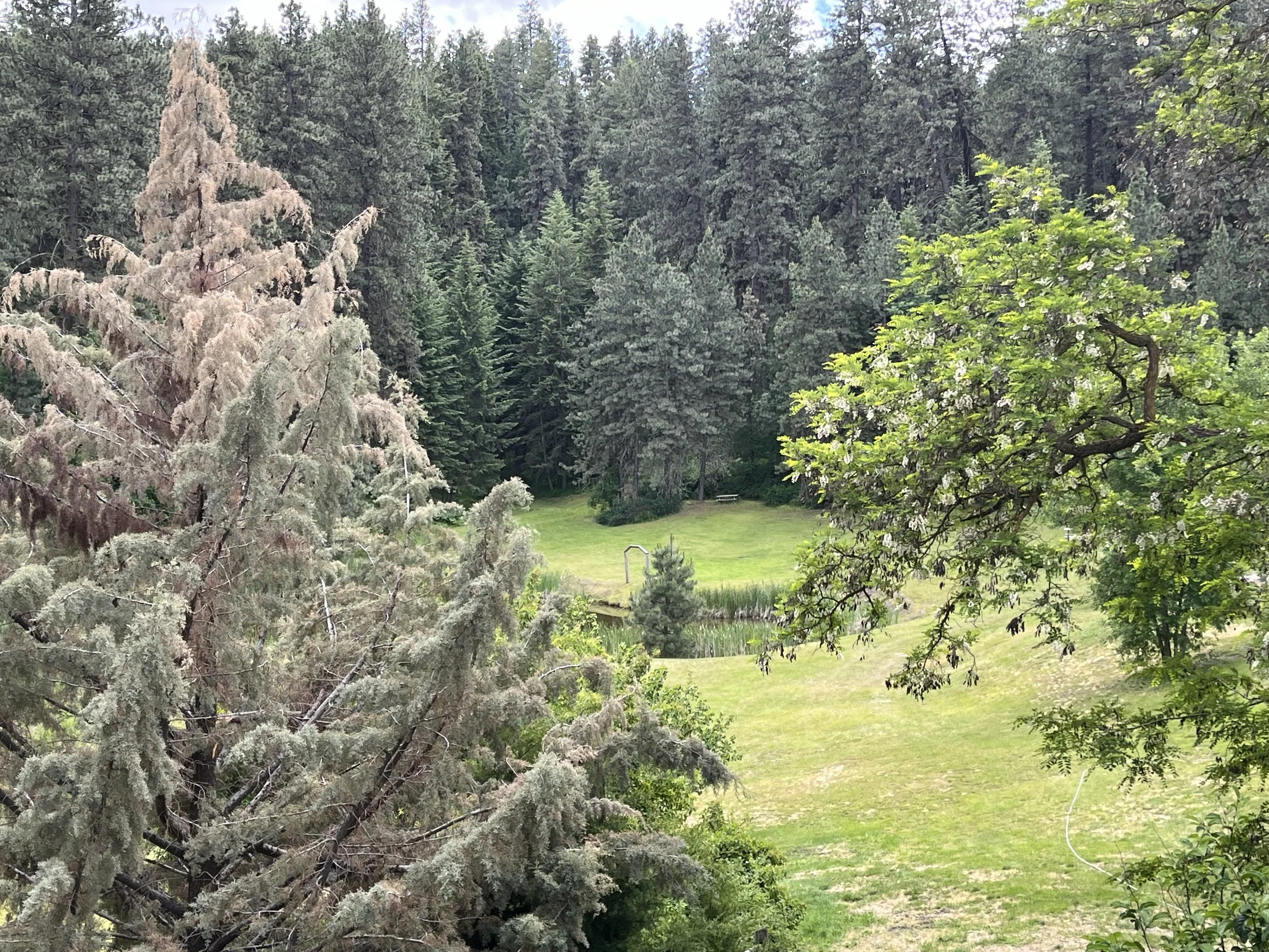 IMG_4494.jpeg