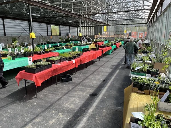 Greenhouse8_.jpg