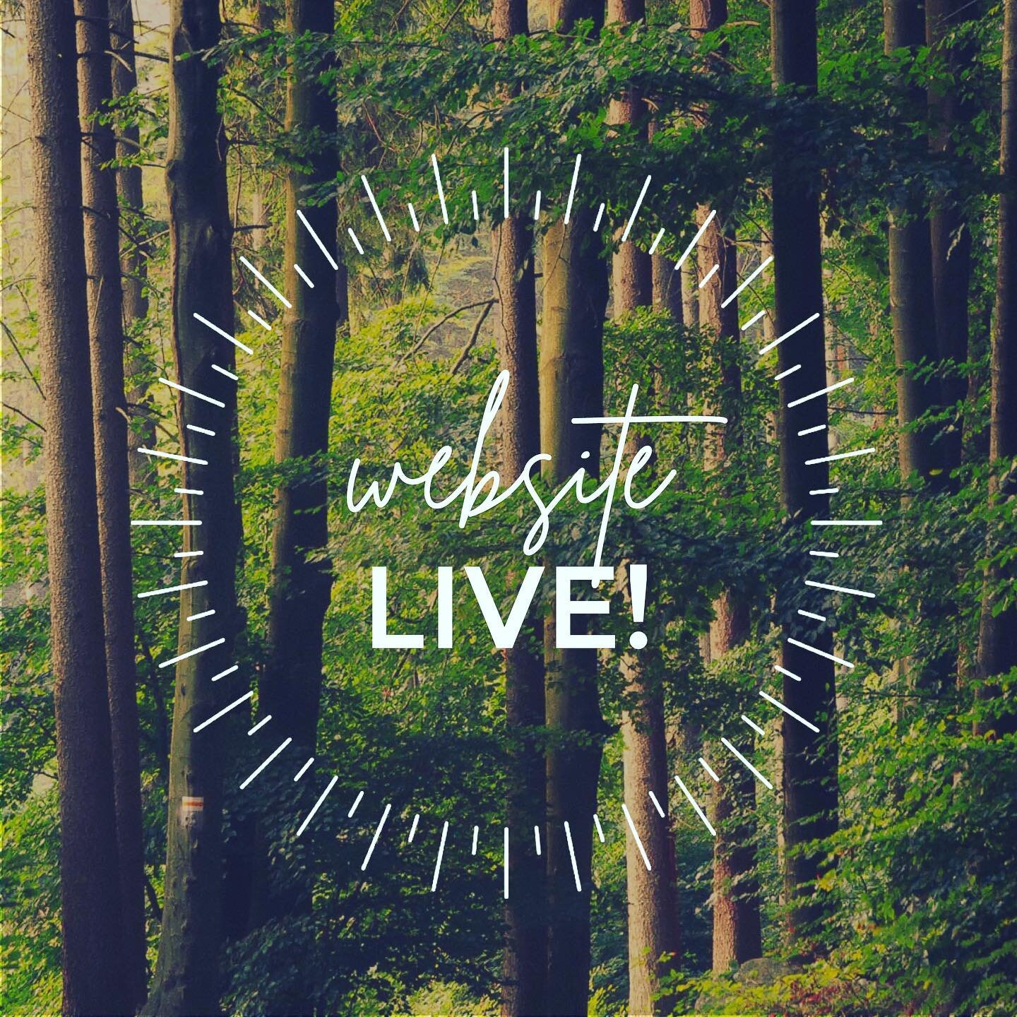 Our new website is live! Check out all our newest products available to shop. Link in bio
.
.
.
#hesterandhank #jewelry #handmade jewelry #locallymadejewelry #santacruzjewelry #woodjewelry #sustainablejewelry #repurposedwood #ethicaljewelry #woodenje