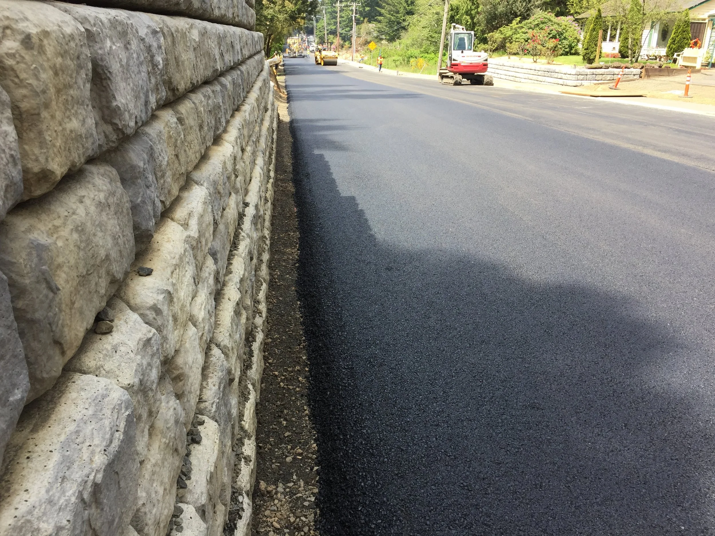 Transportation - Rhododendron Wall and Road.JPG