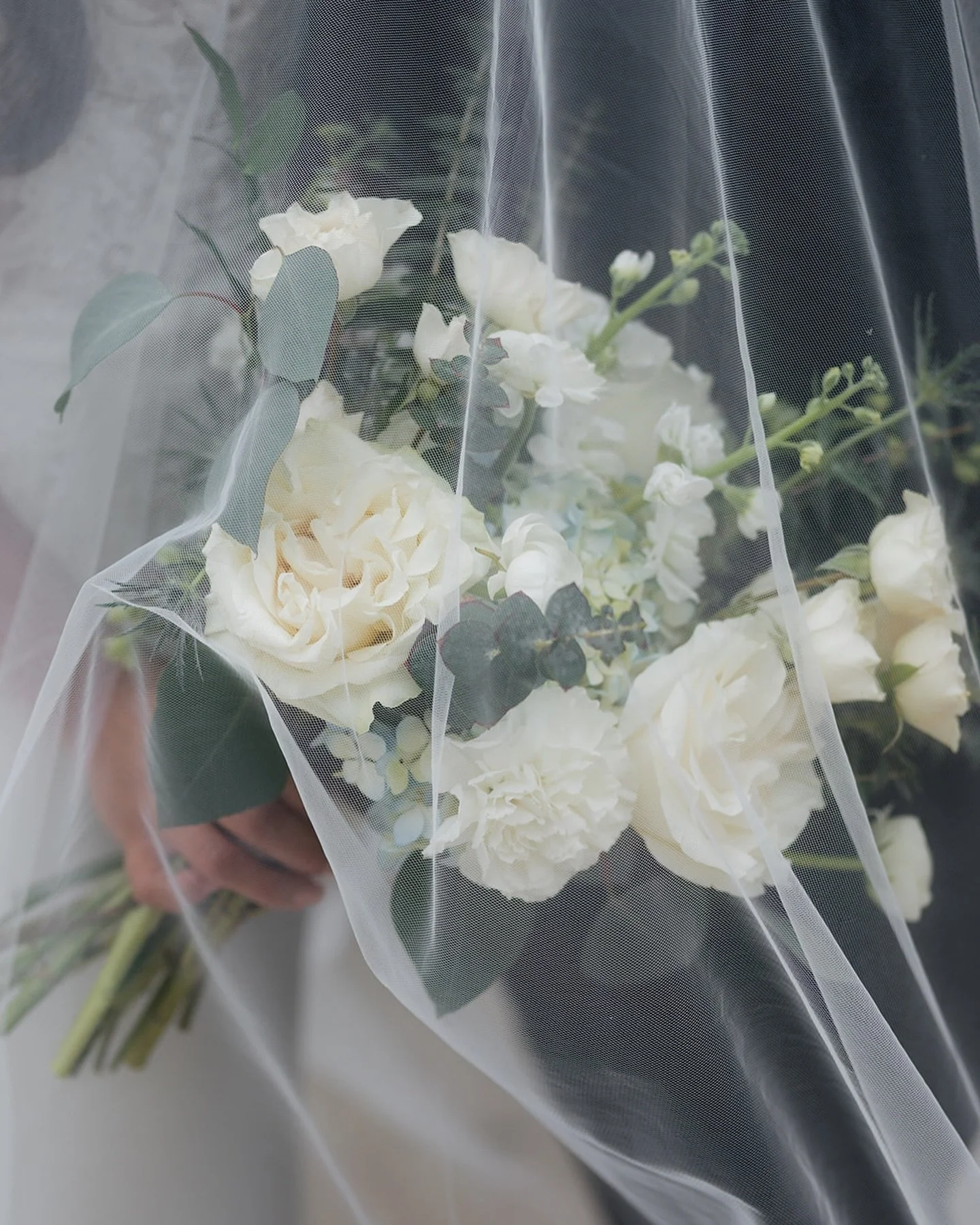 Pretty pictures of pretty flowers 🤍
 
 
 
#sandiegoweddingflorist #sandiegoflorist #weddingflowers #sandiegoweddingflowers #sandiegowedding #californiawedding #weddingflorist #weddinginspo #wildwallfowersd