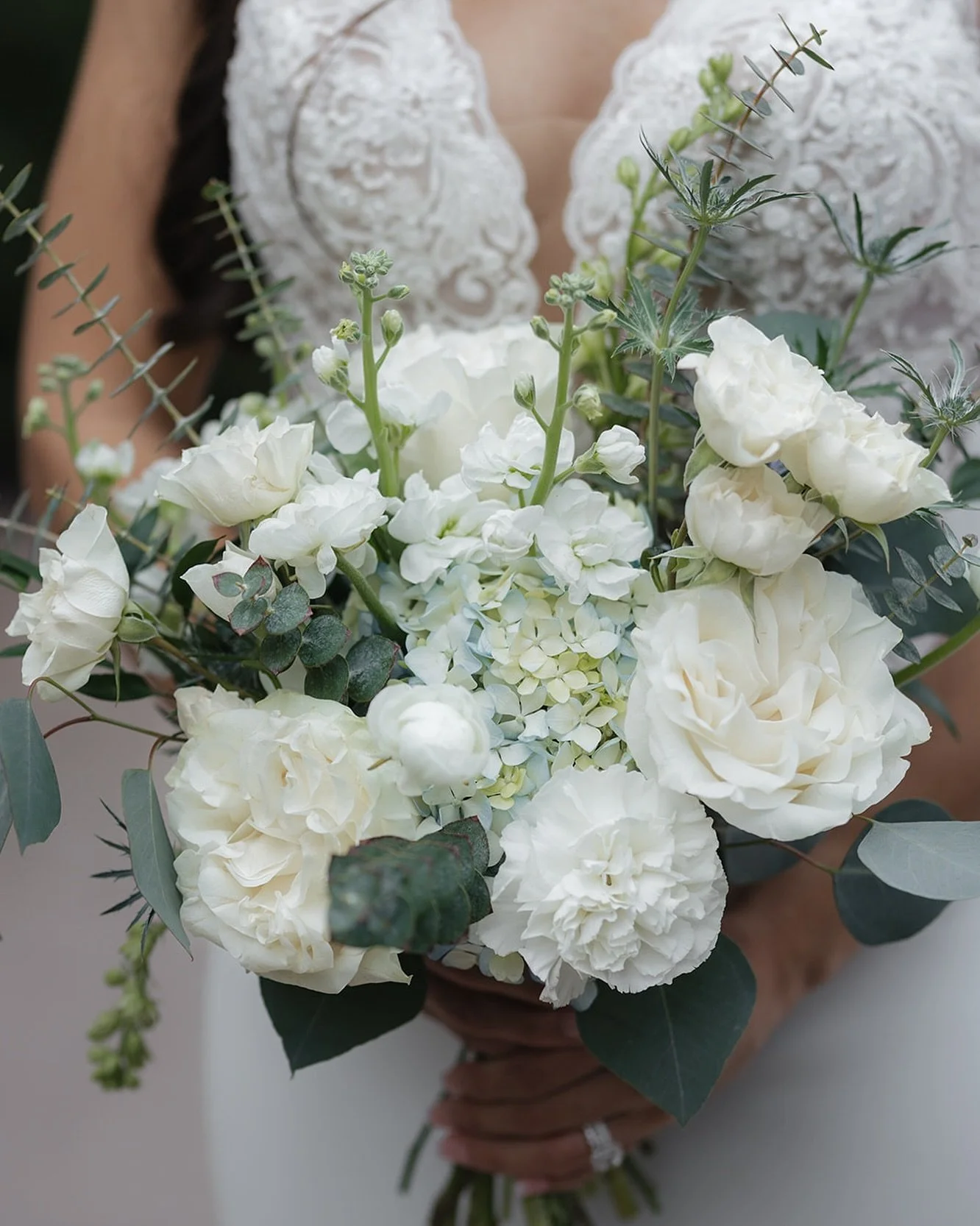 Garden roses are a personal favorite
 
 
 
#sandiegoweddingflorist #sandiegoflorist #weddingflowers #sandiegoweddingflowers #sandiegowedding #californiawedding #weddingflorist #weddinginspo #wildwallfowersd