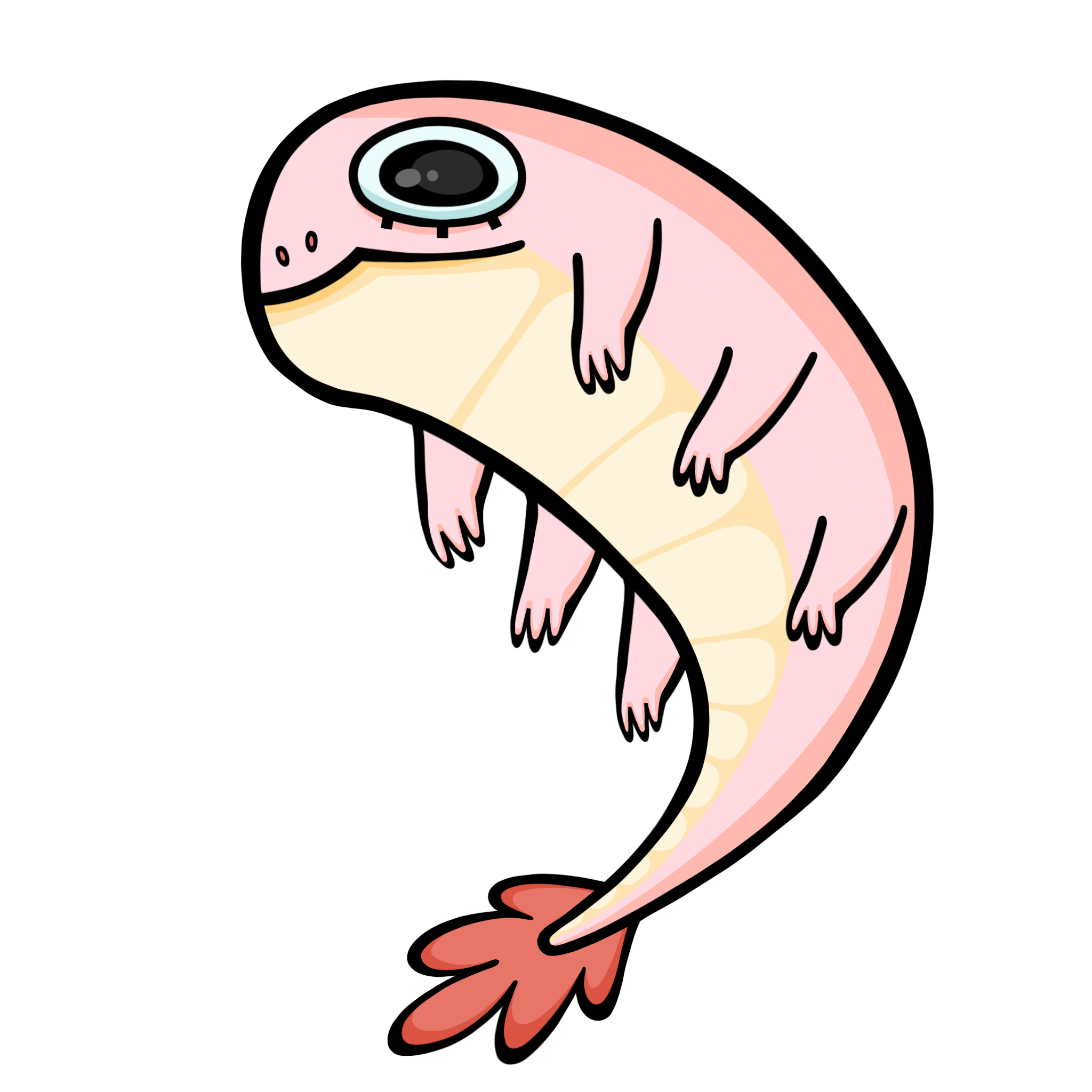 AppaShrimp.png