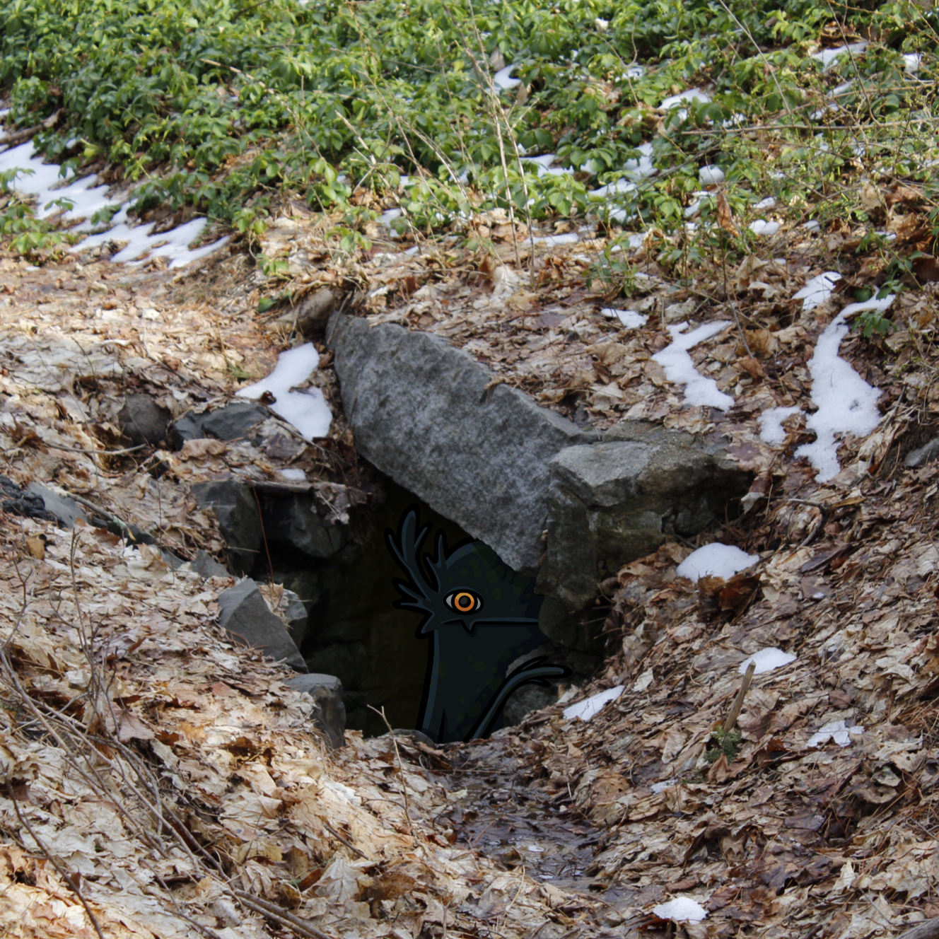 Untitled_Artwork 24.png