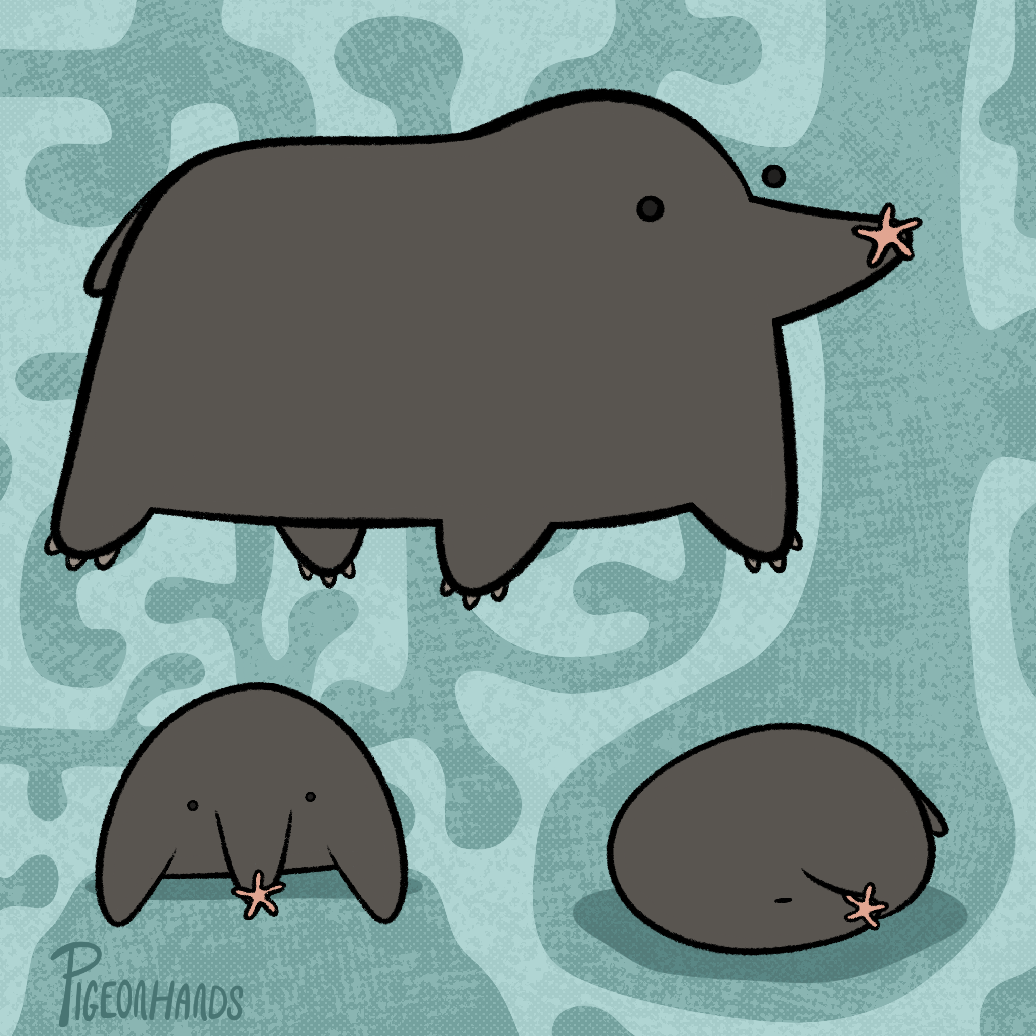 Untitled_Artwork 2.png