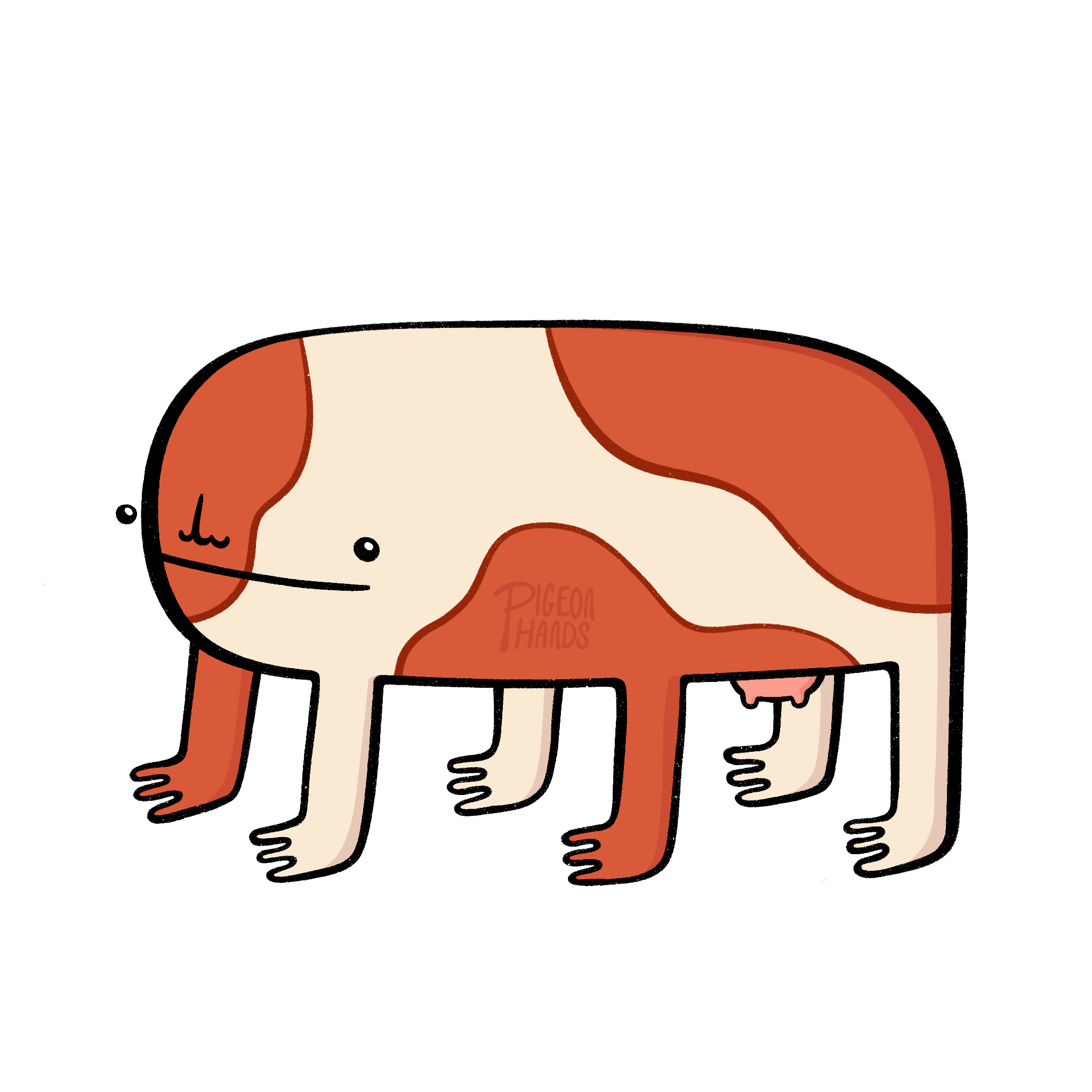 IMG_6420.png