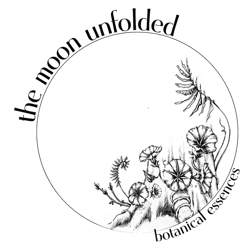 Botanical Essences : Magic with Plants — The Moon Unfolded