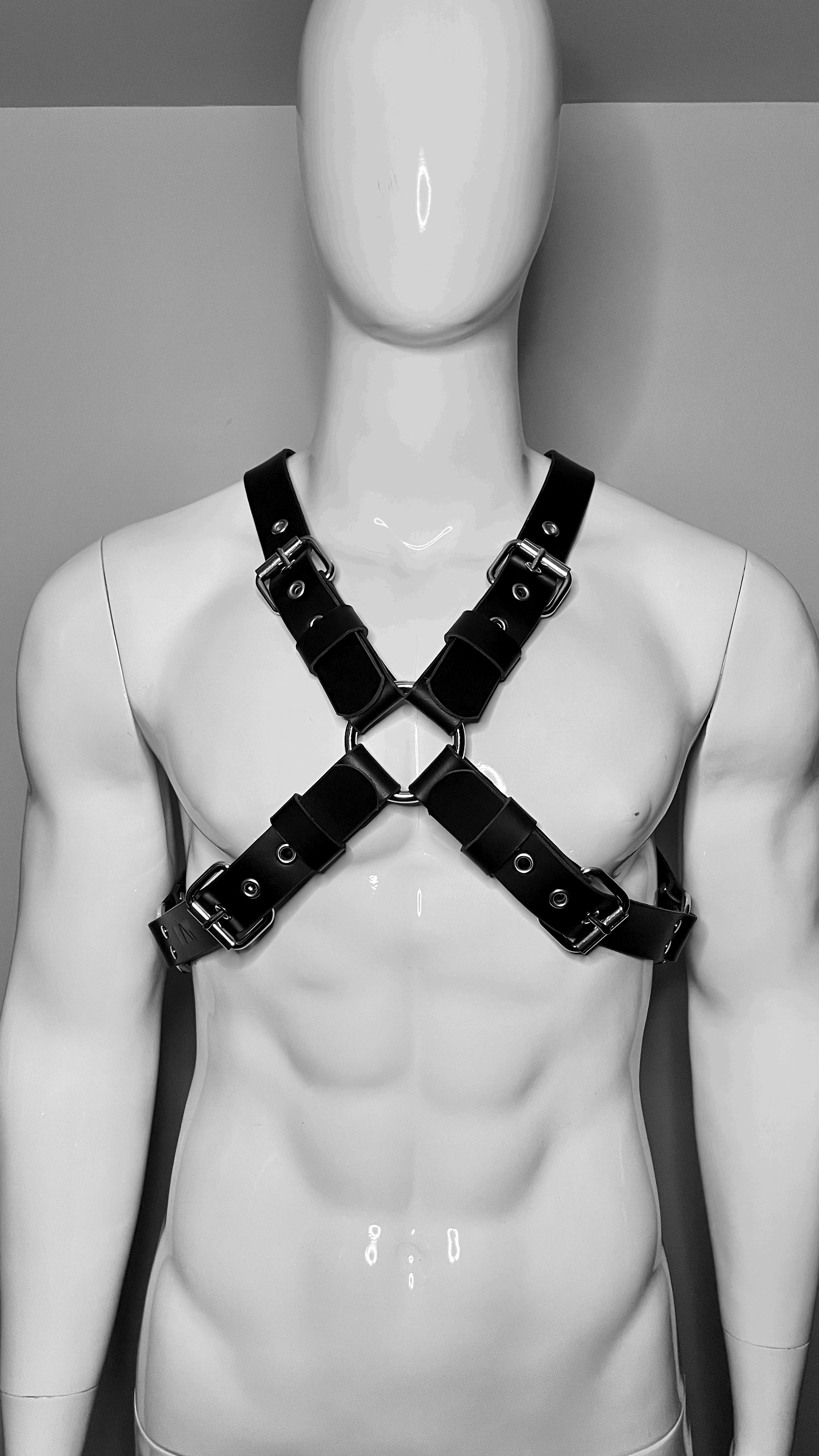 X HARNESS