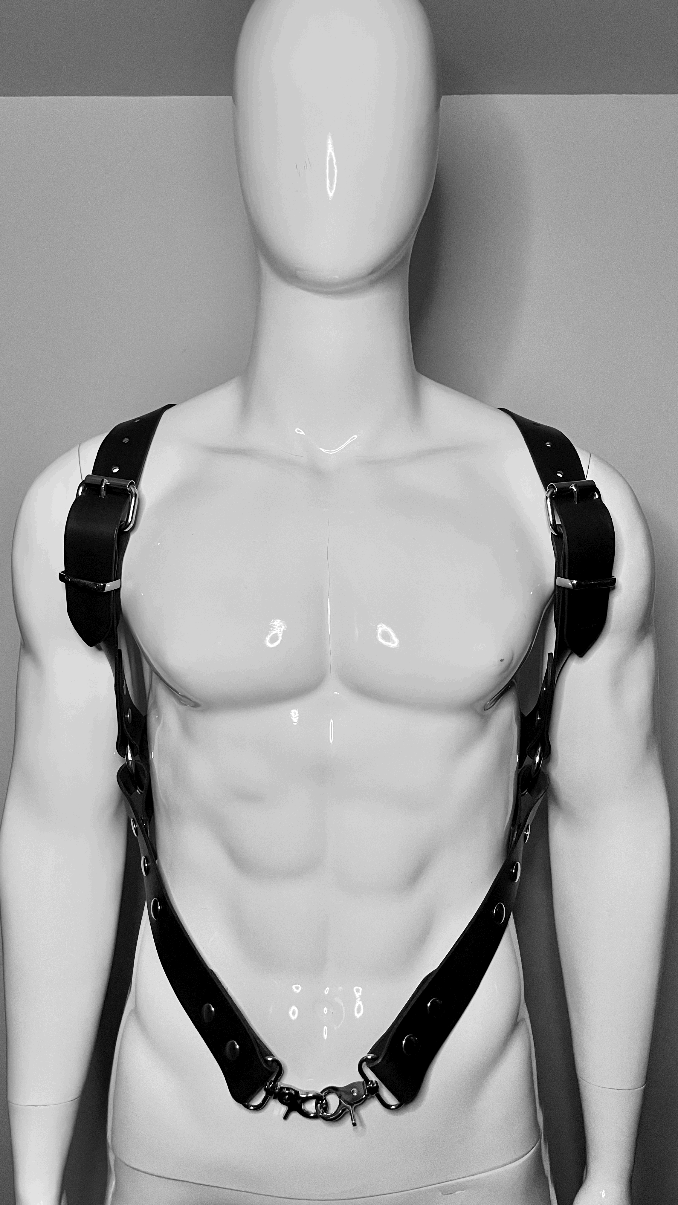 ROA HARNESS