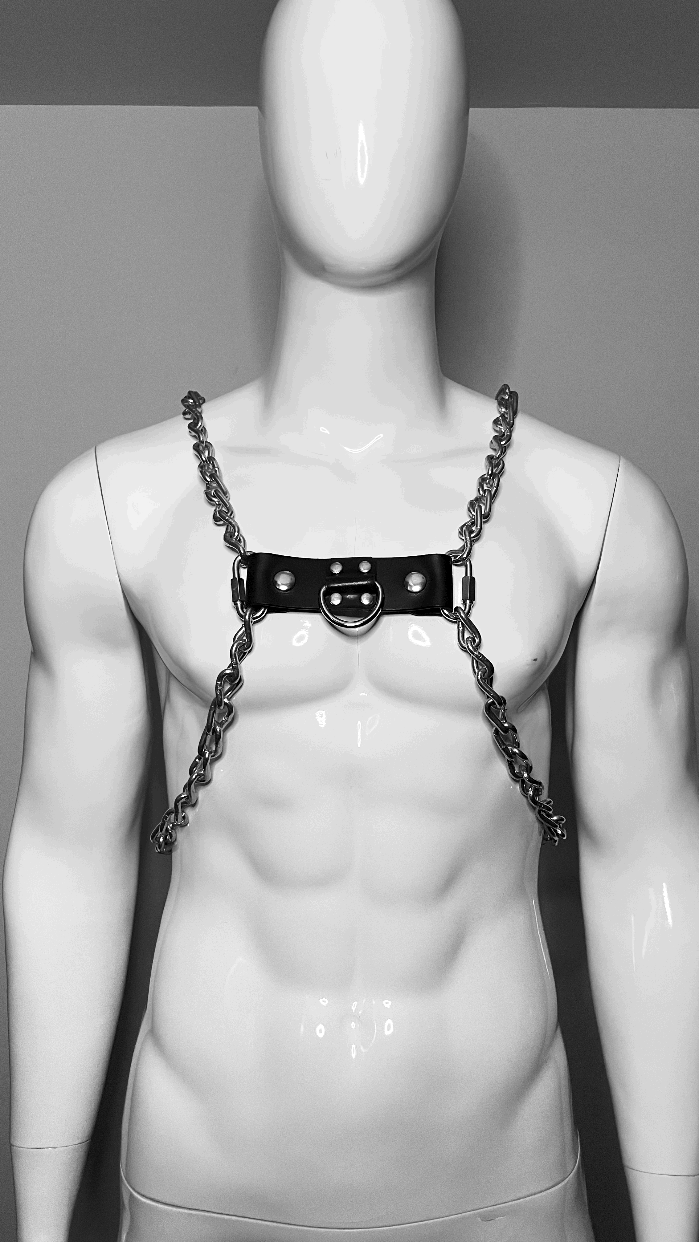CHAIN HARNESS