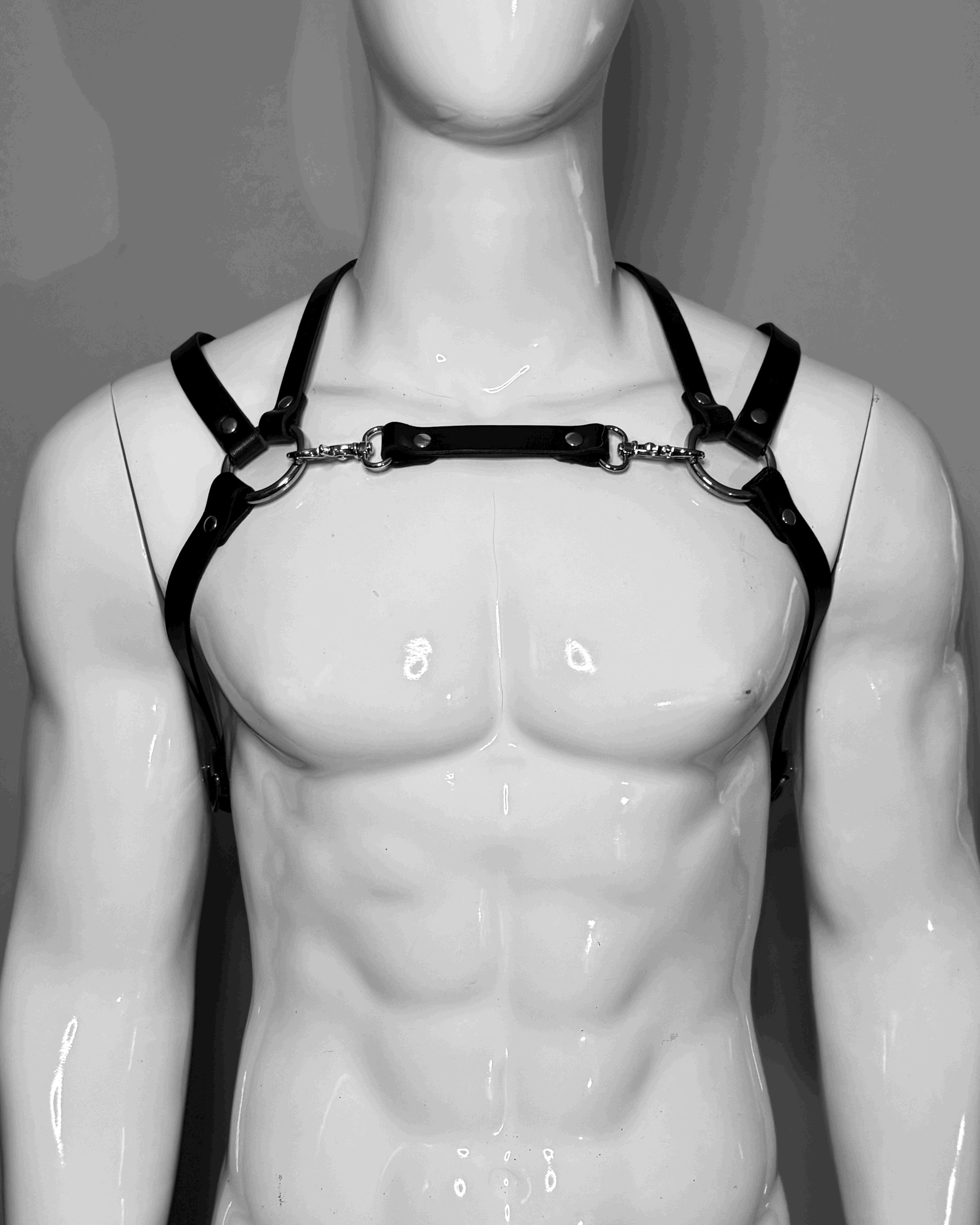 DOUBLE HARNESS