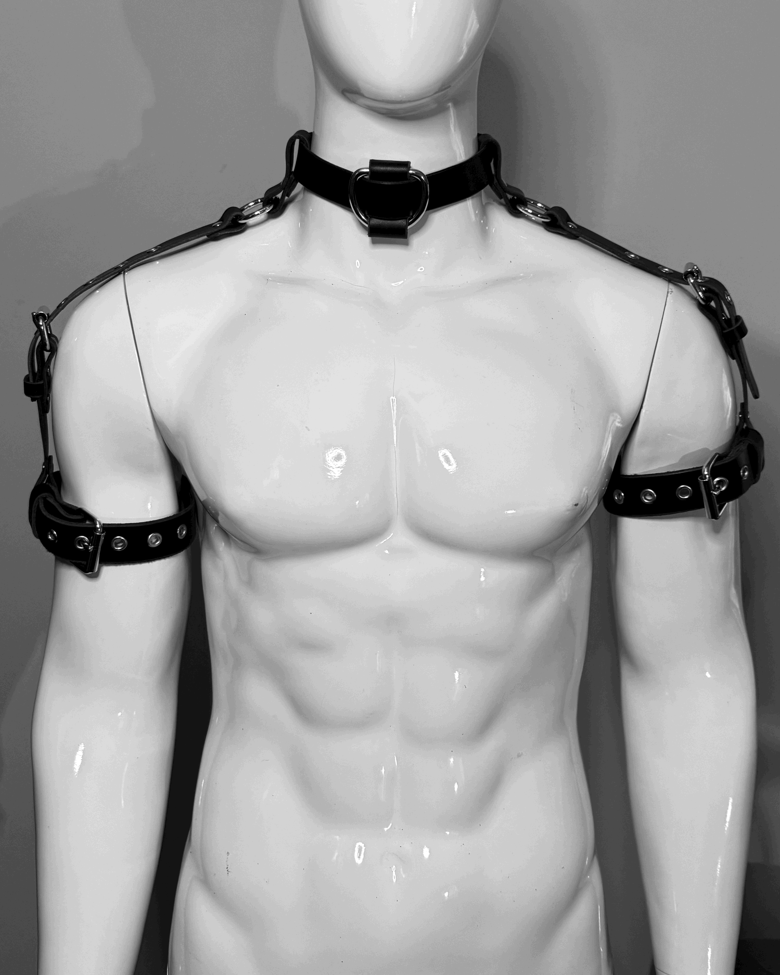 SHOULDER HARNESS