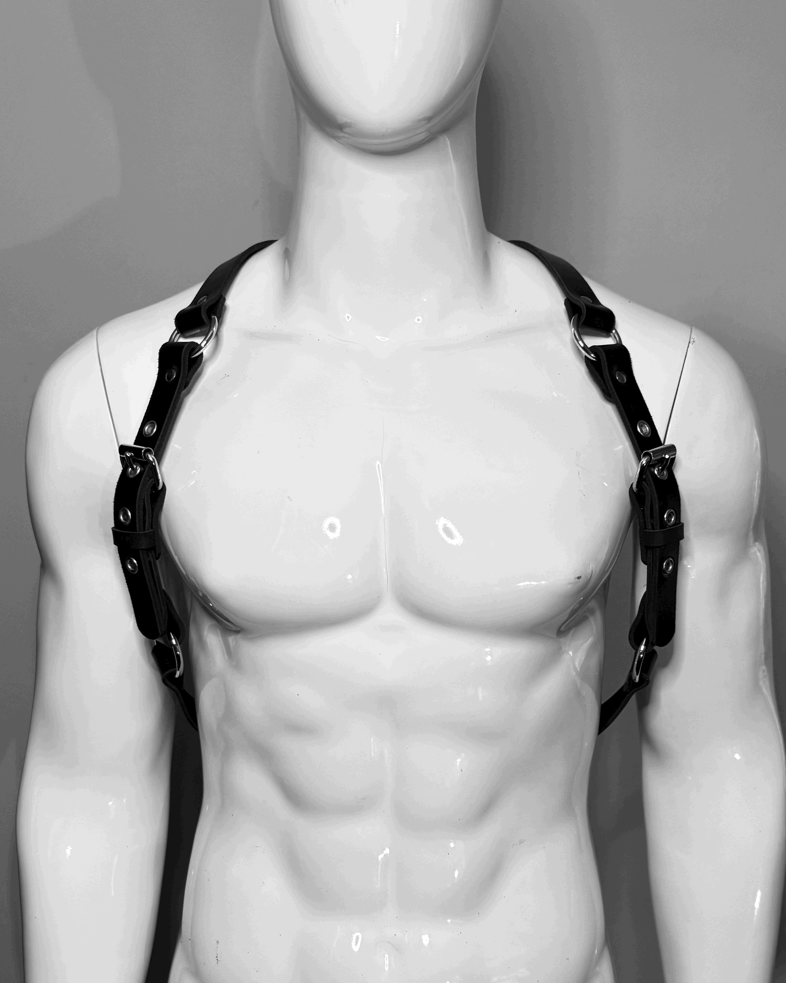 SPINE HARNESS